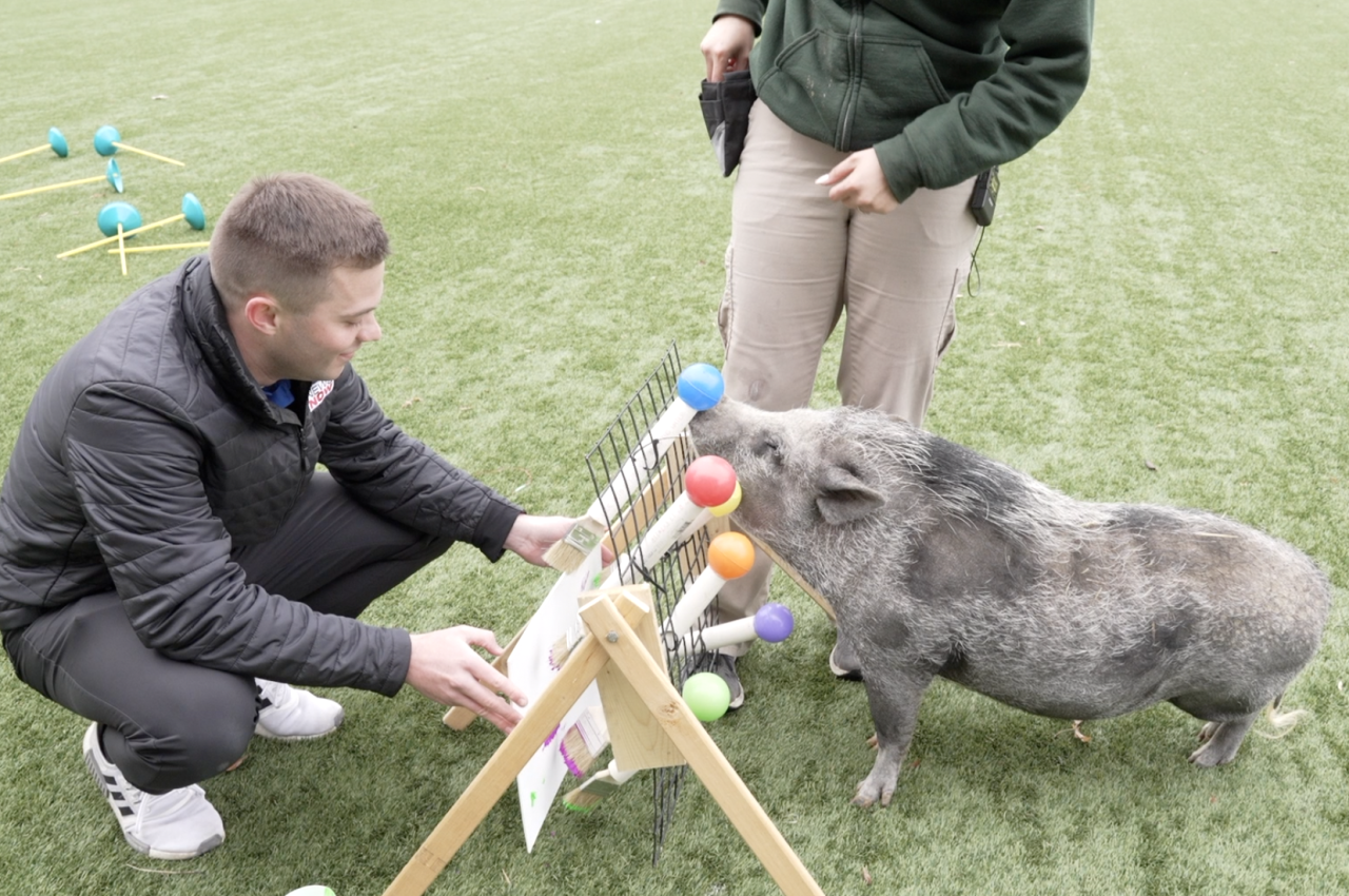 Zach at the Zoo: Meet Johnny and June